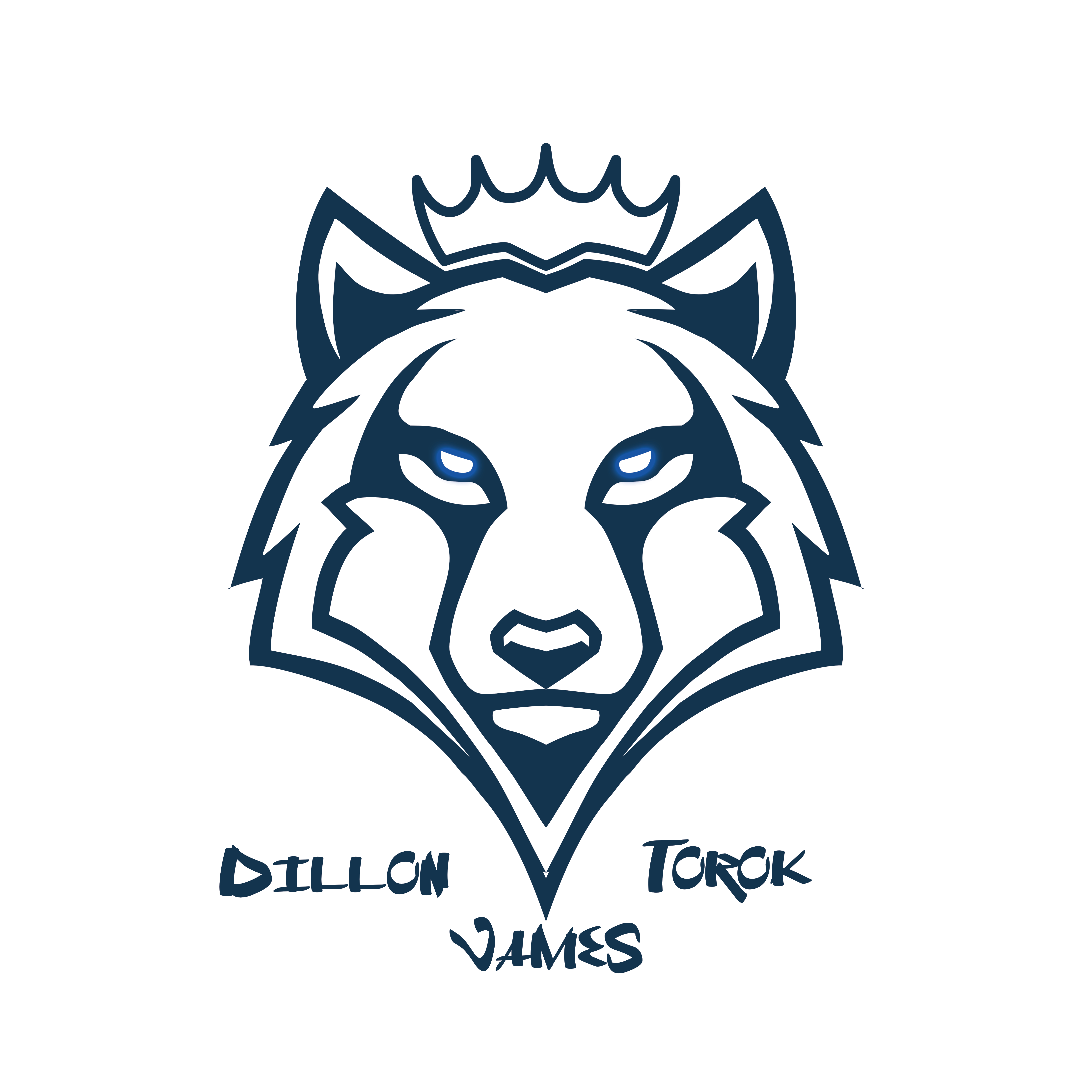 Dillon James Torok's logo